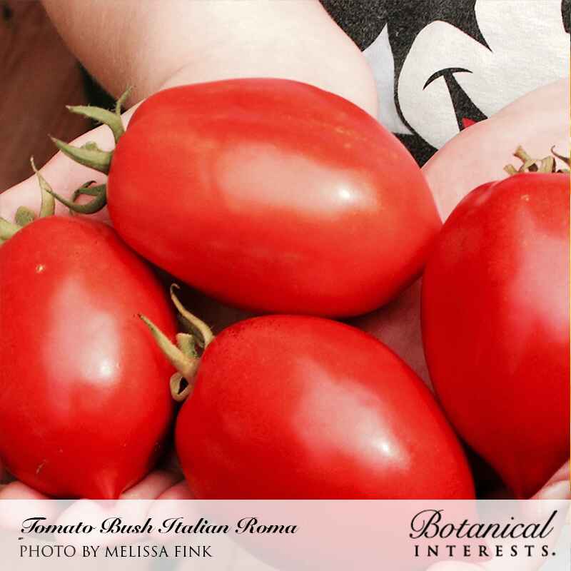 Seed packet for italian roma bush tomato seeds