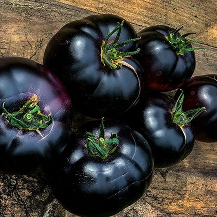 Product photo of black pearl cherry tomato seeds