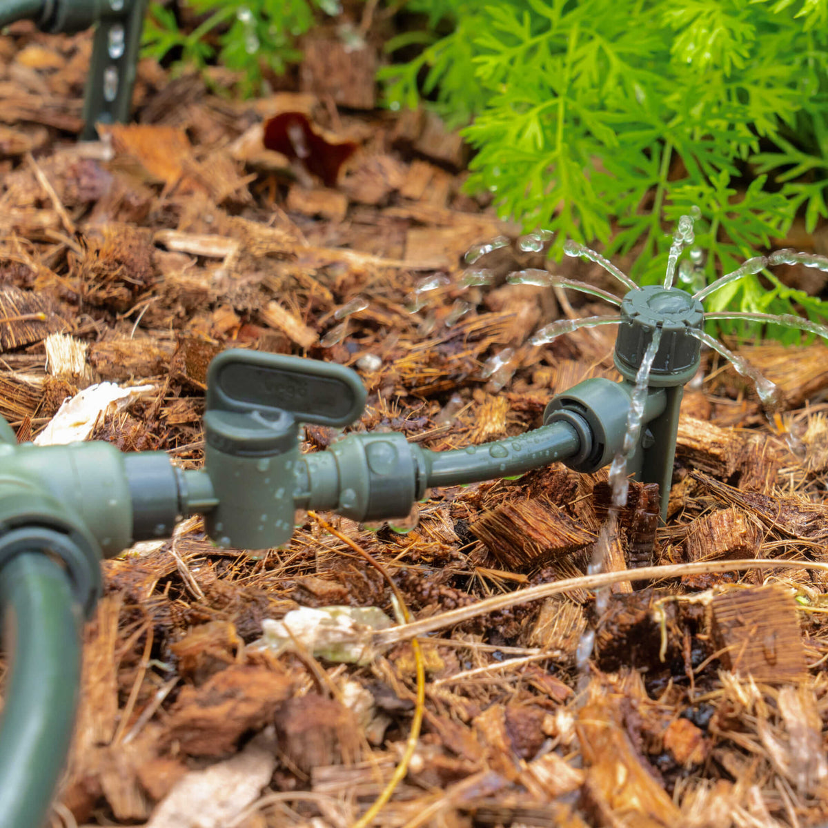 Product photo of branch valve for irrigation lines