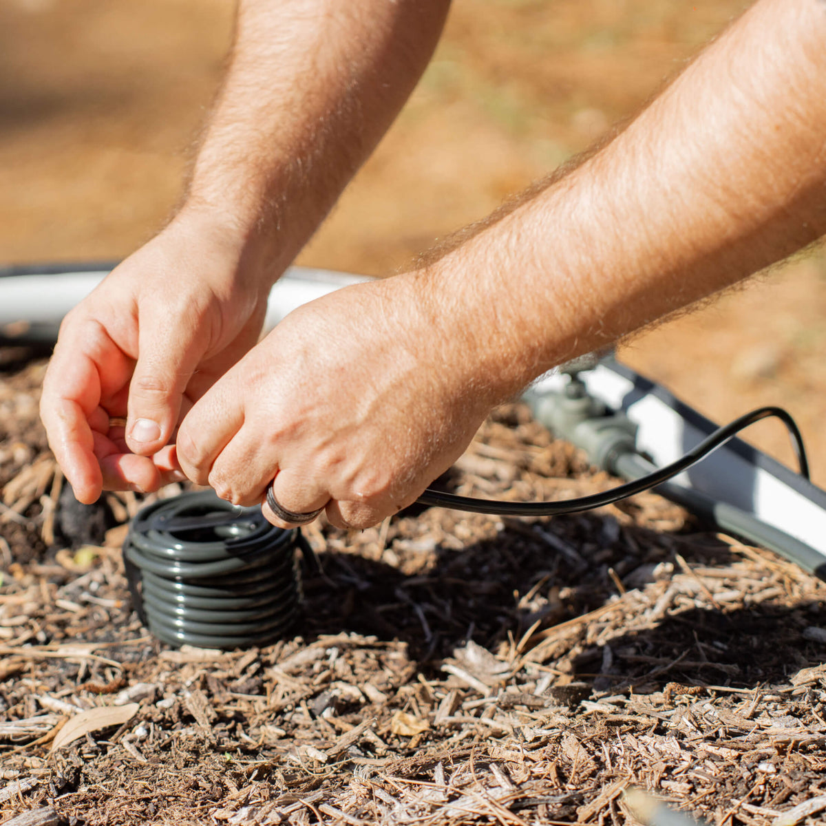 Product photo of 20-foot branch irrigation hose