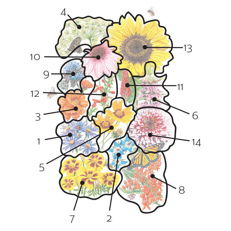 Product image of pollinator flower mix seeds