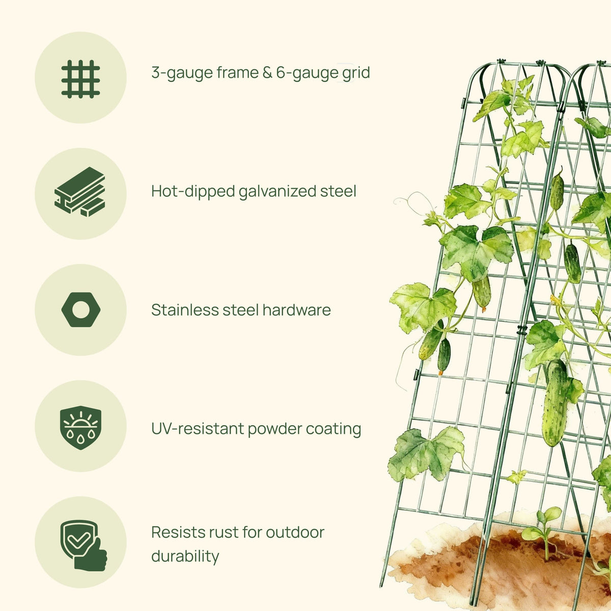 Adjustable A-Frame Trellis, 2 Pack