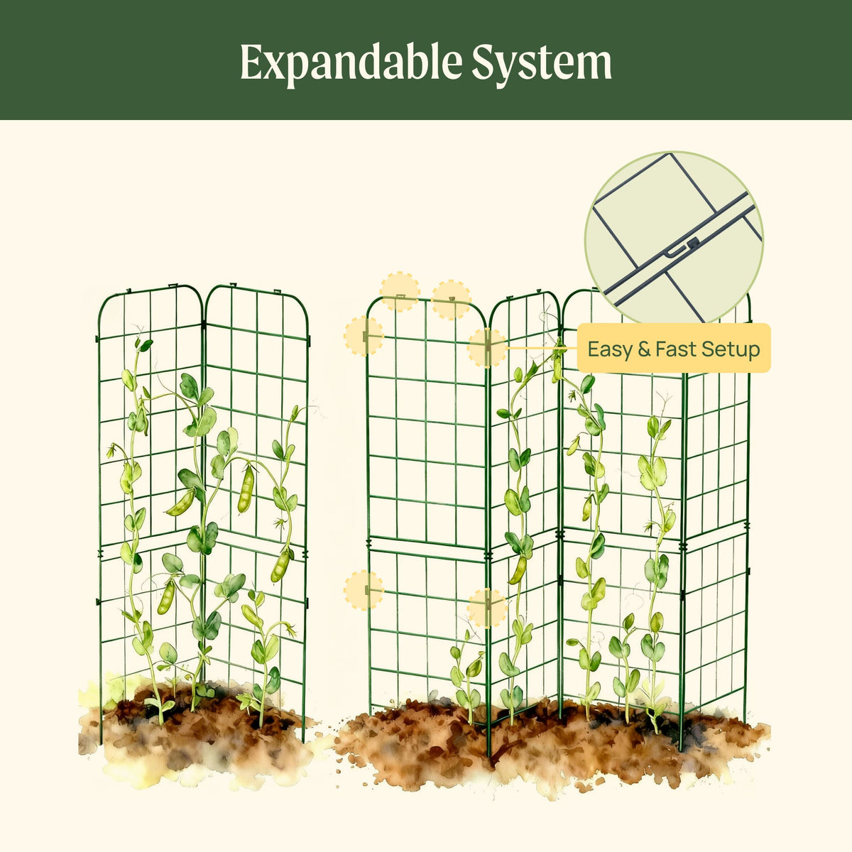 Adjustable A-Frame Trellis, 2 Pack