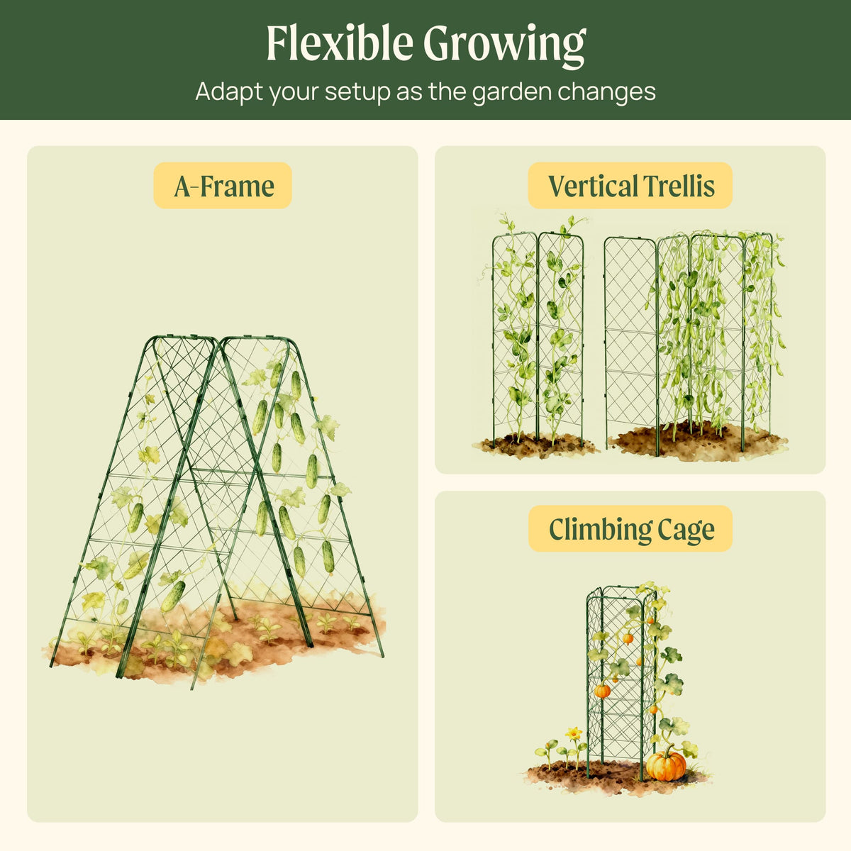 Standard Adjustable A-Frame Trellis