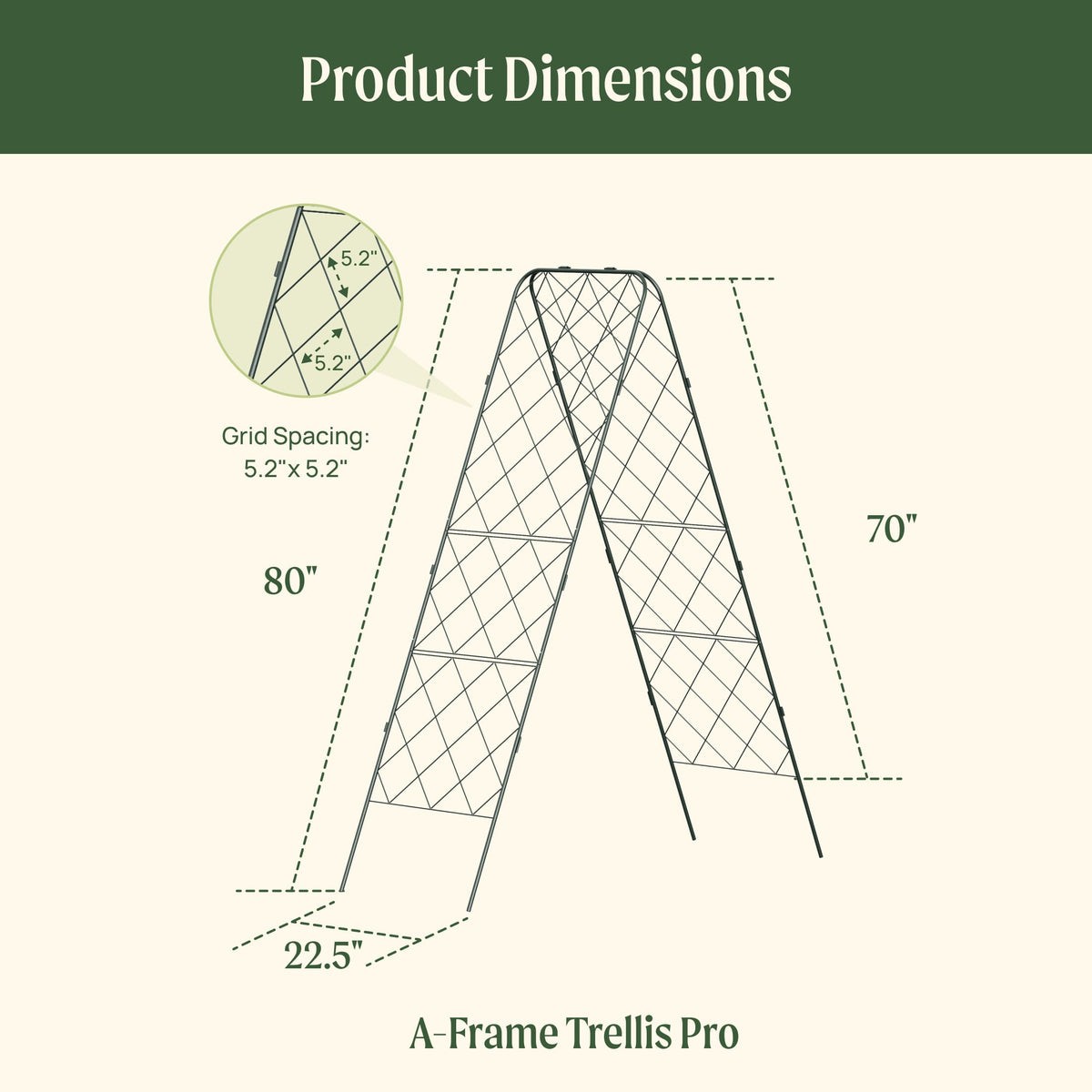 Standard Adjustable A-Frame Trellis