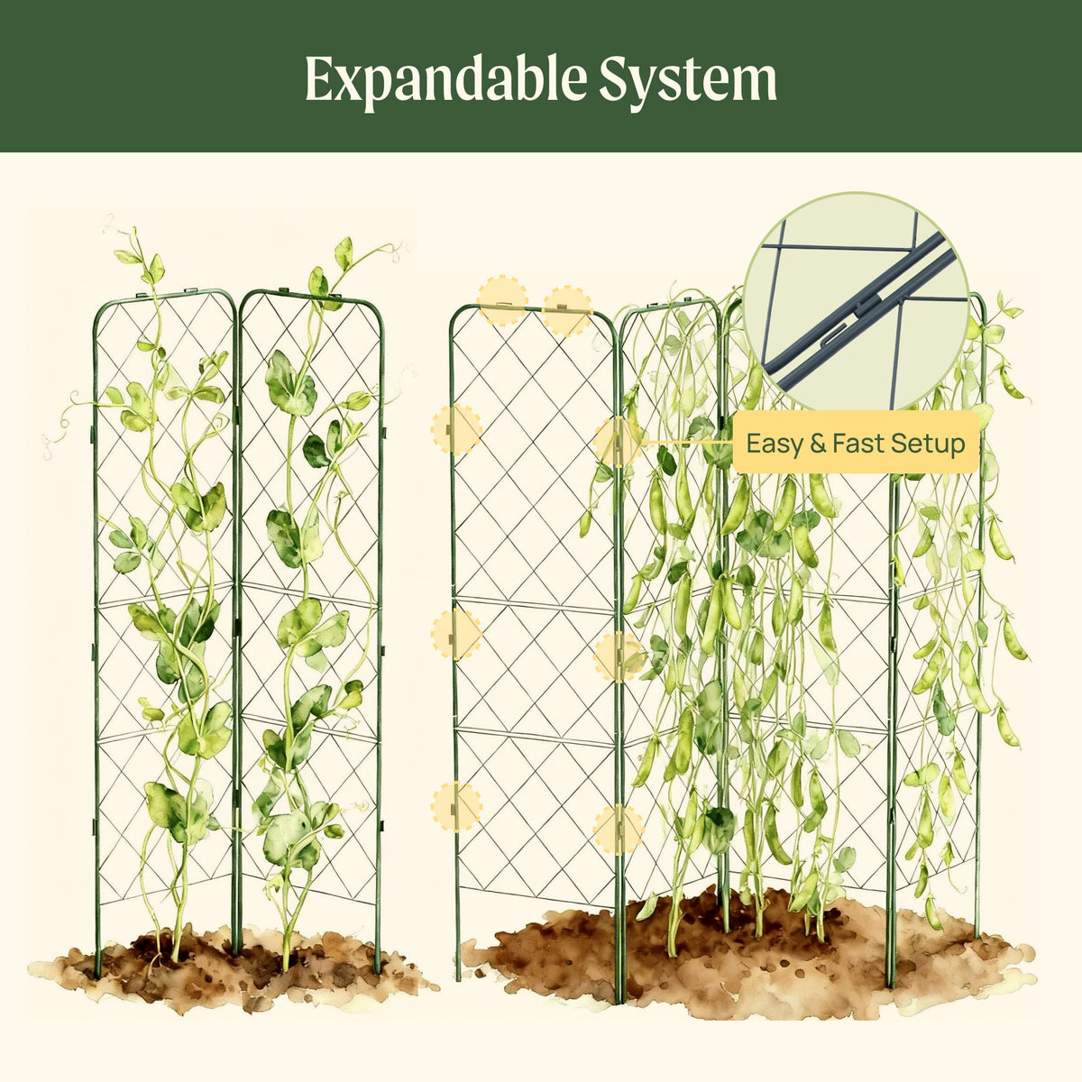 Standard Adjustable A-Frame Trellis