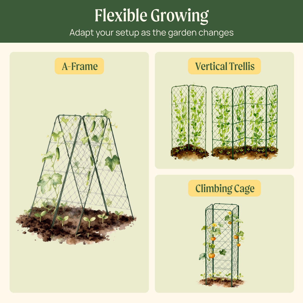 Heavy-Duty Adjustable A-Frame Trellis