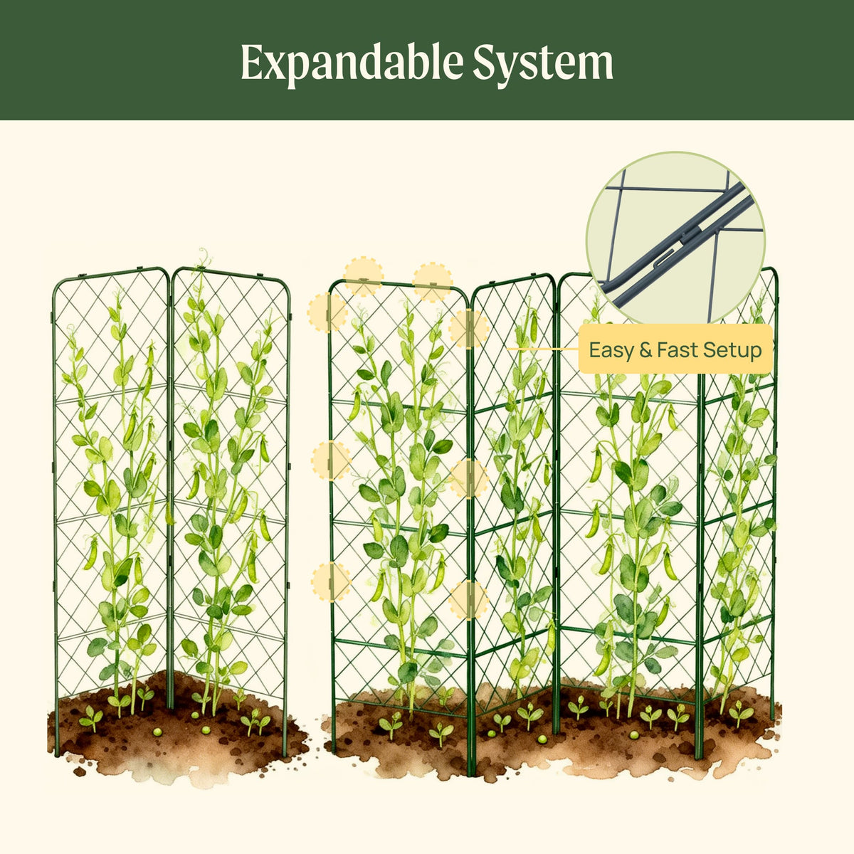 Heavy-Duty Adjustable A-Frame Trellis