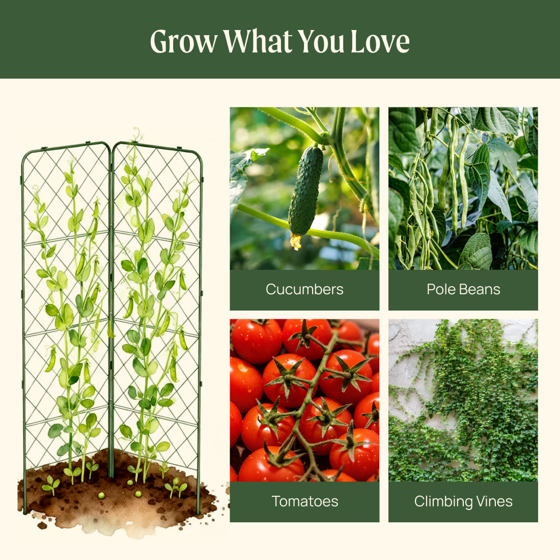 Heavy-Duty Adjustable A-Frame Trellis