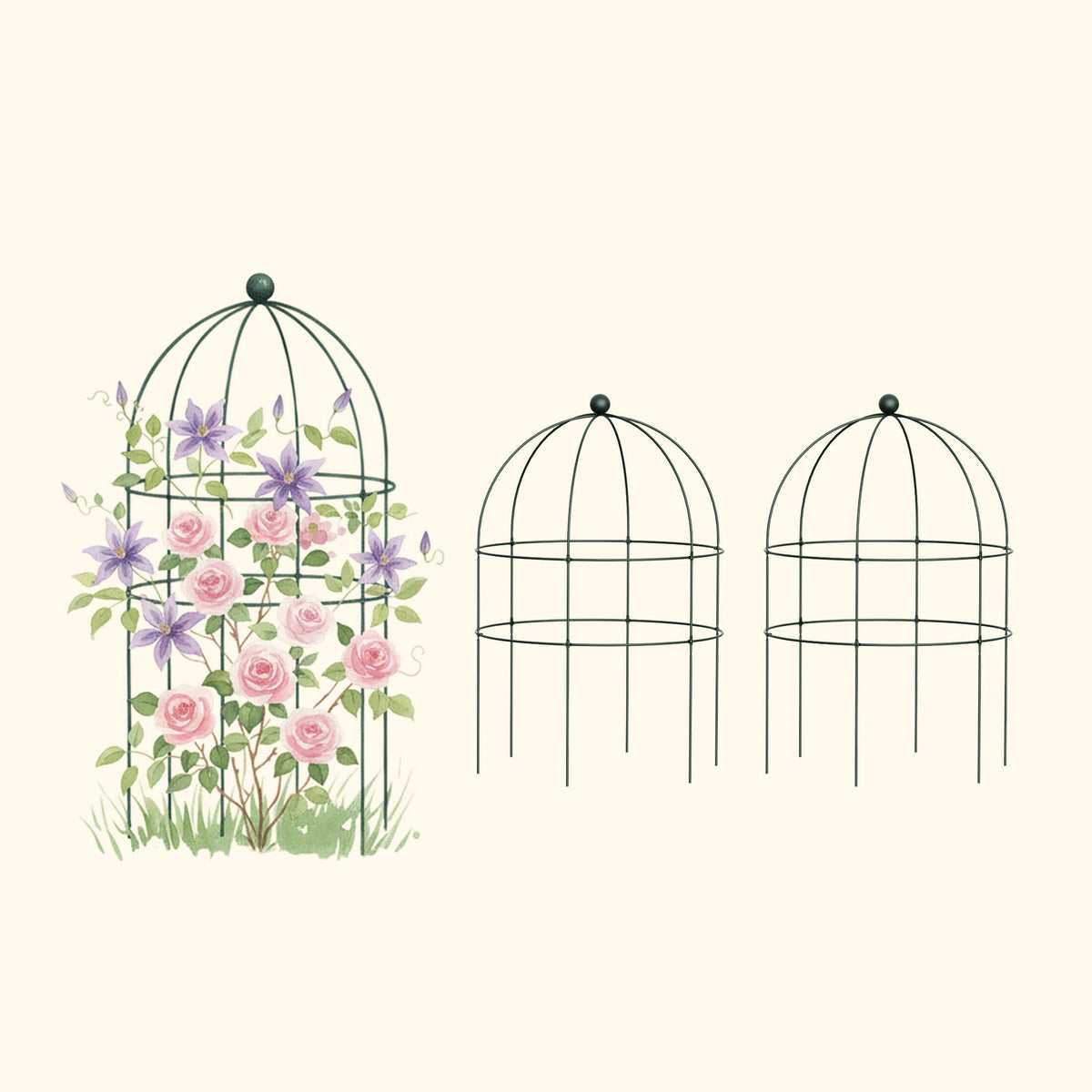 Birdcage Plant Trellis, 2 Pack