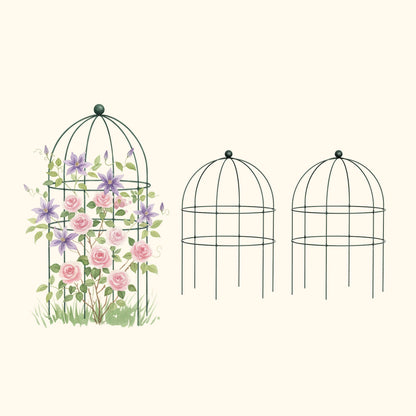 Birdcage Plant Trellis, 2 Pack