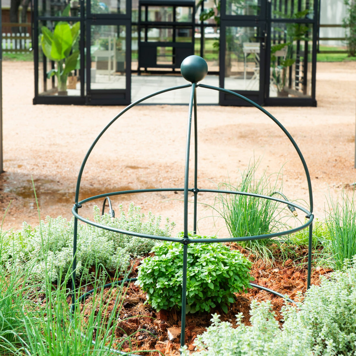 Birdcage Plant Trellis, 2 Pack