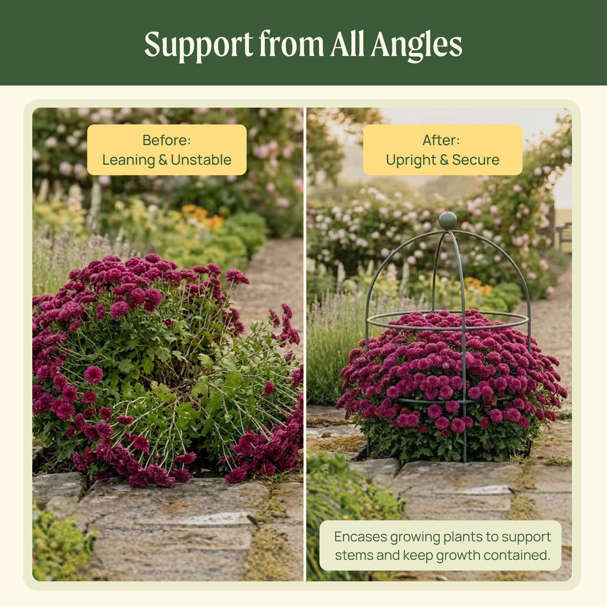 Birdcage Plant Trellis, 2 Pack