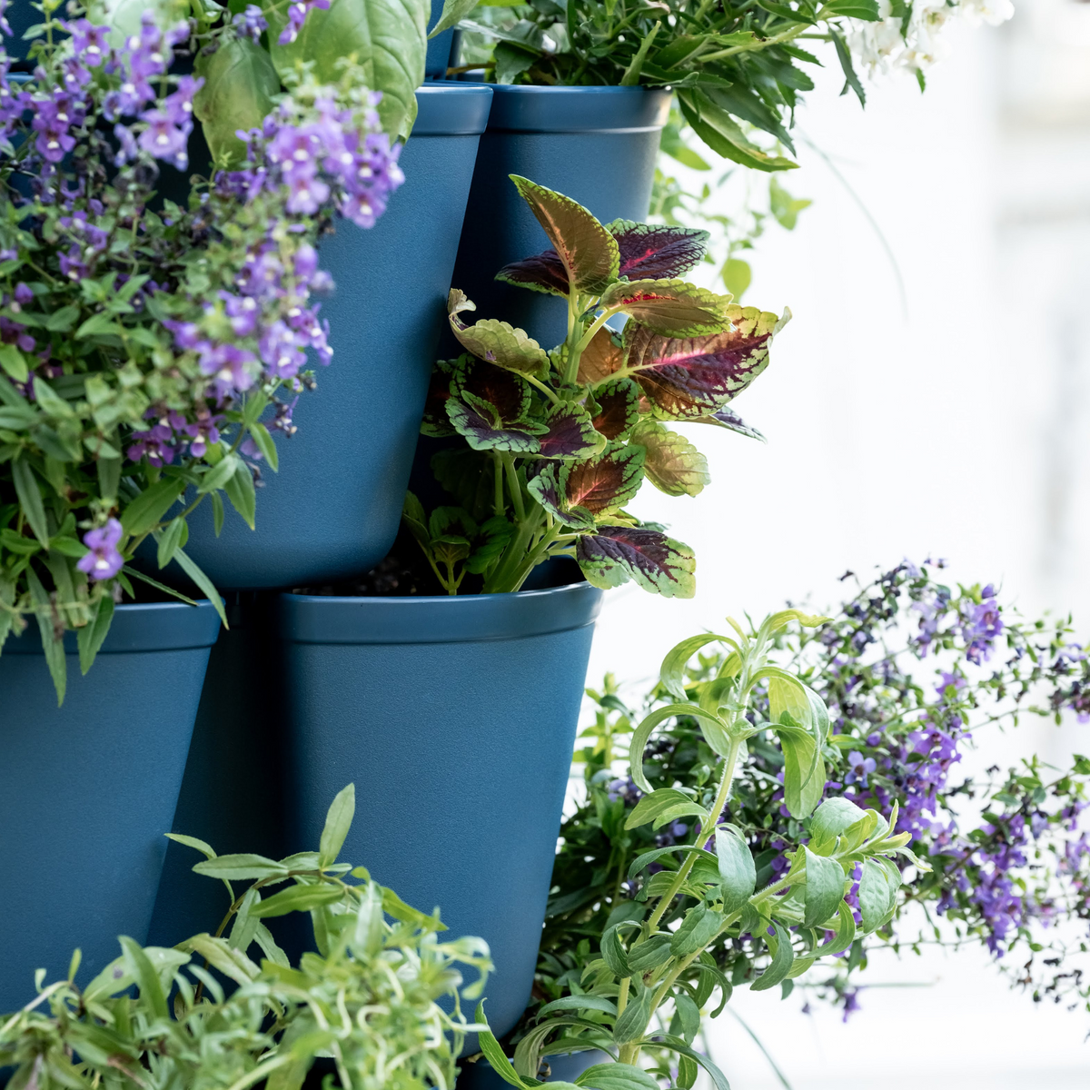 Product image of five tier vertical planter