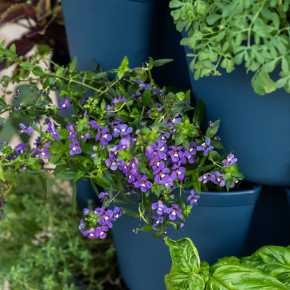 Product image of five tier vertical planter