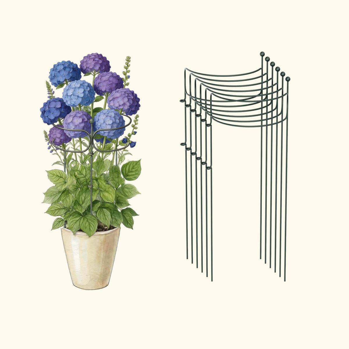 Curved Border Plant Supports, 6 Pack