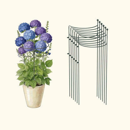 Curved Border Plant Supports, 6 Pack