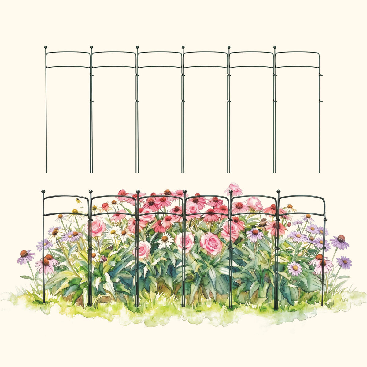 Curved Border Plant Supports, 6 Pack