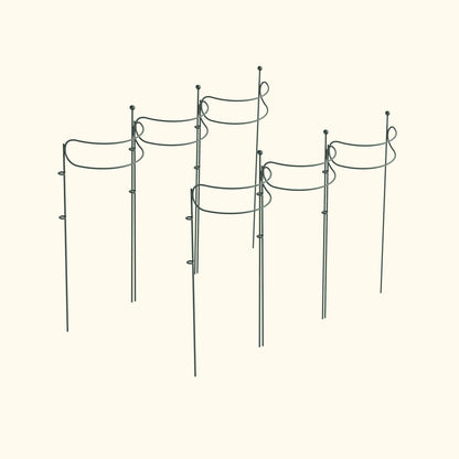 Curved Border Plant Supports, 6 Pack