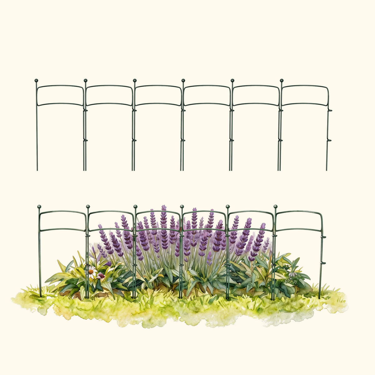 Curved Border Plant Supports, 6 Pack