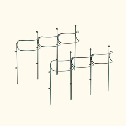 Curved Border Plant Supports, 6 Pack