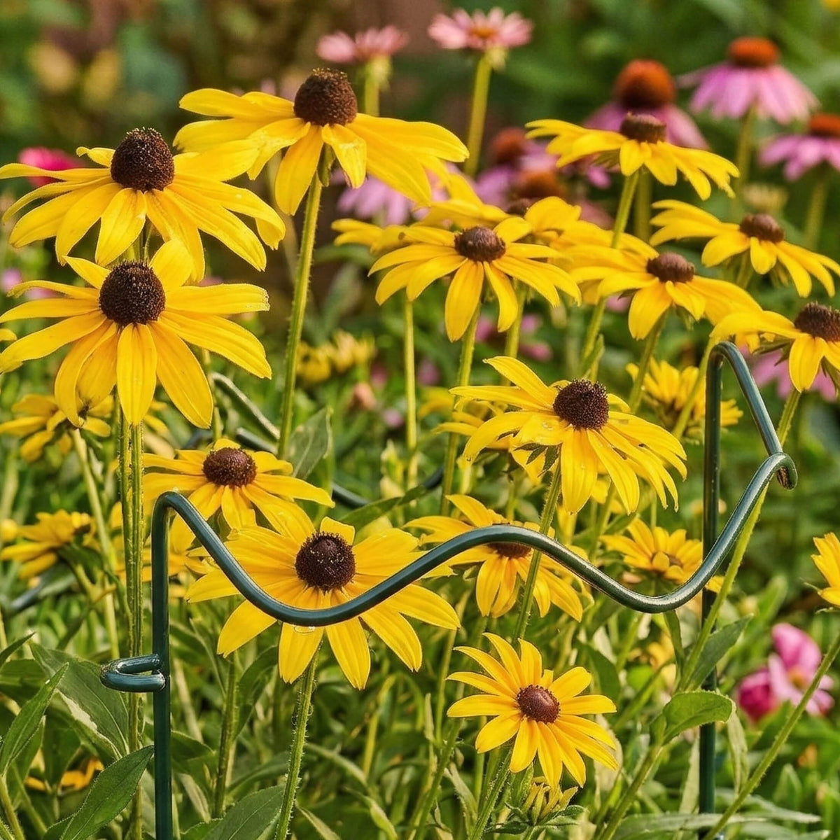 Wavy Border Plant Supports, 6 Pack