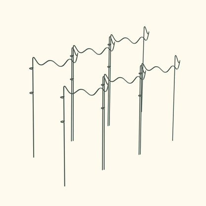 Wavy Border Plant Supports, 6 Pack