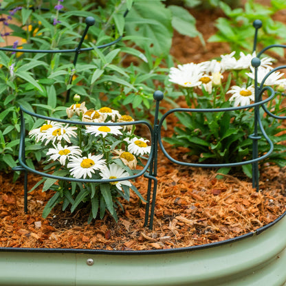 Curved Border Plant Supports, 6 Pack
