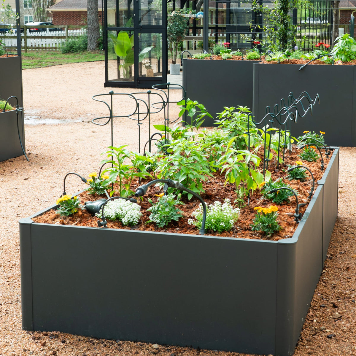 Curved Border Plant Supports, 6 Pack