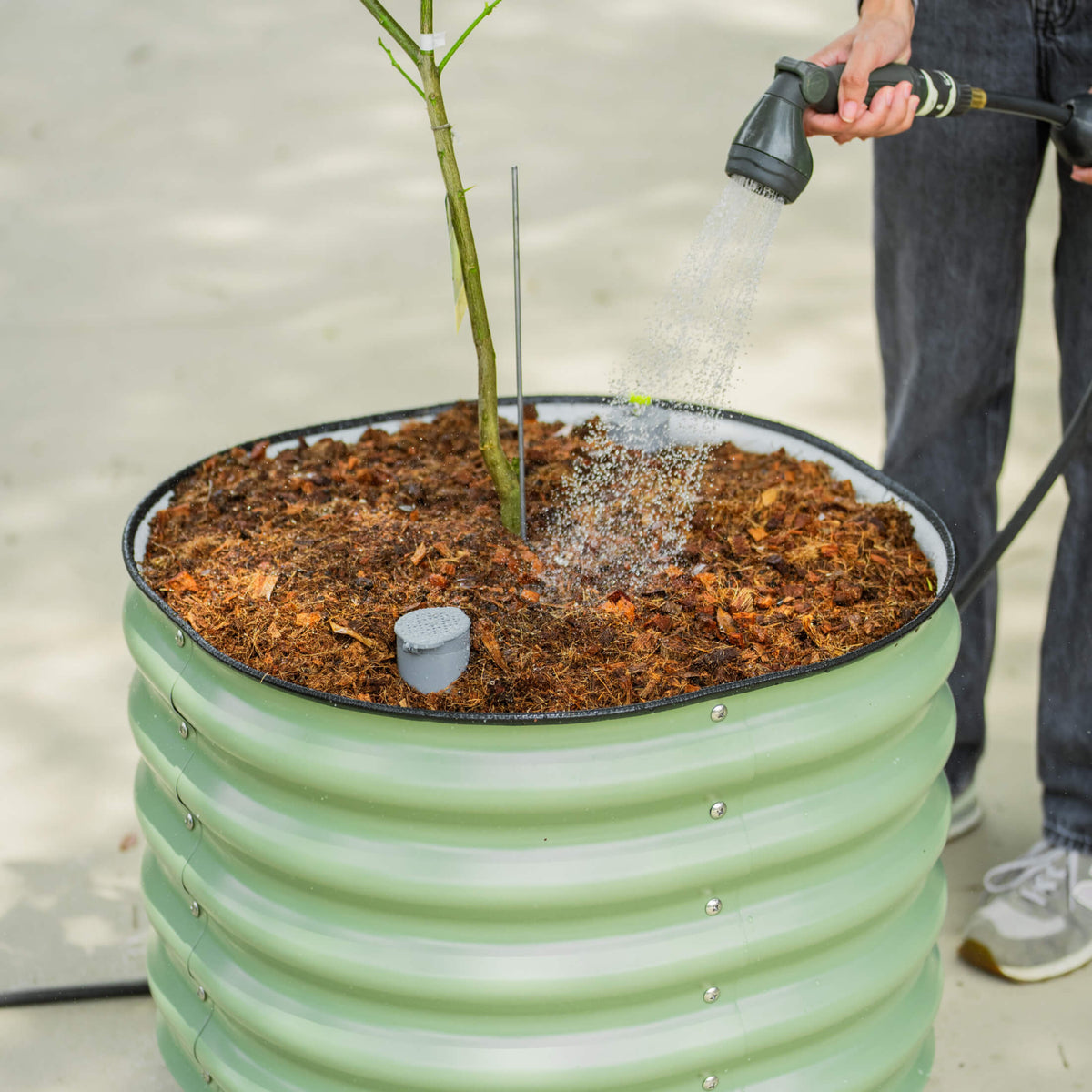 Rolling Citrus Tree Planter, 30 Gallons