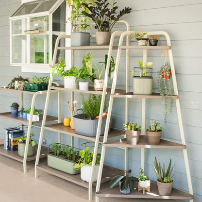 Four-Tier Corner Plant Stand