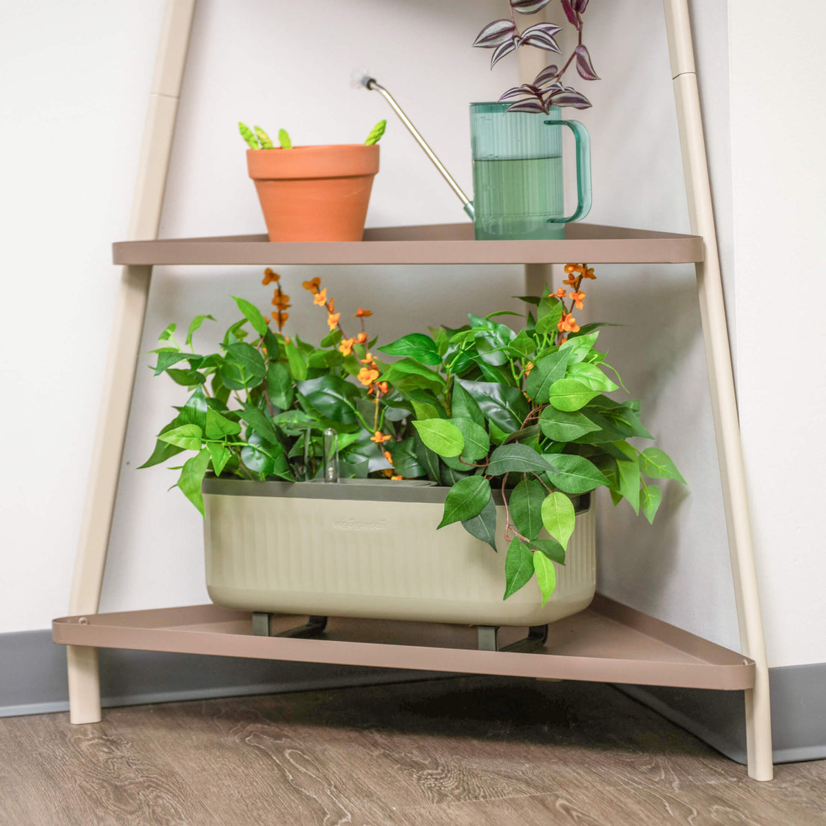 Four-Tier Corner Plant Stand