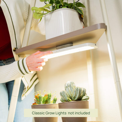 Four-Tier Corner Plant Stand