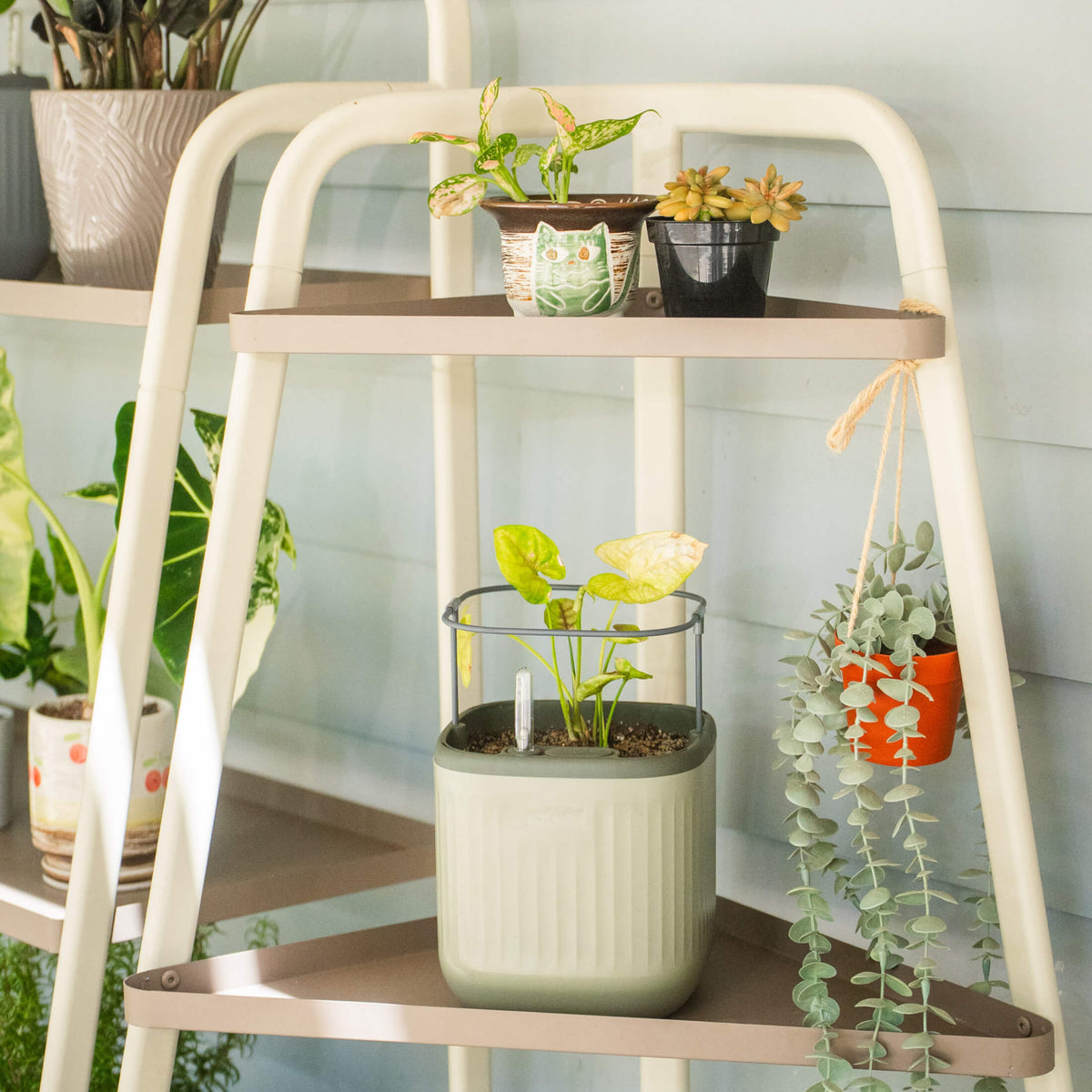Four-Tier Corner Plant Stand
