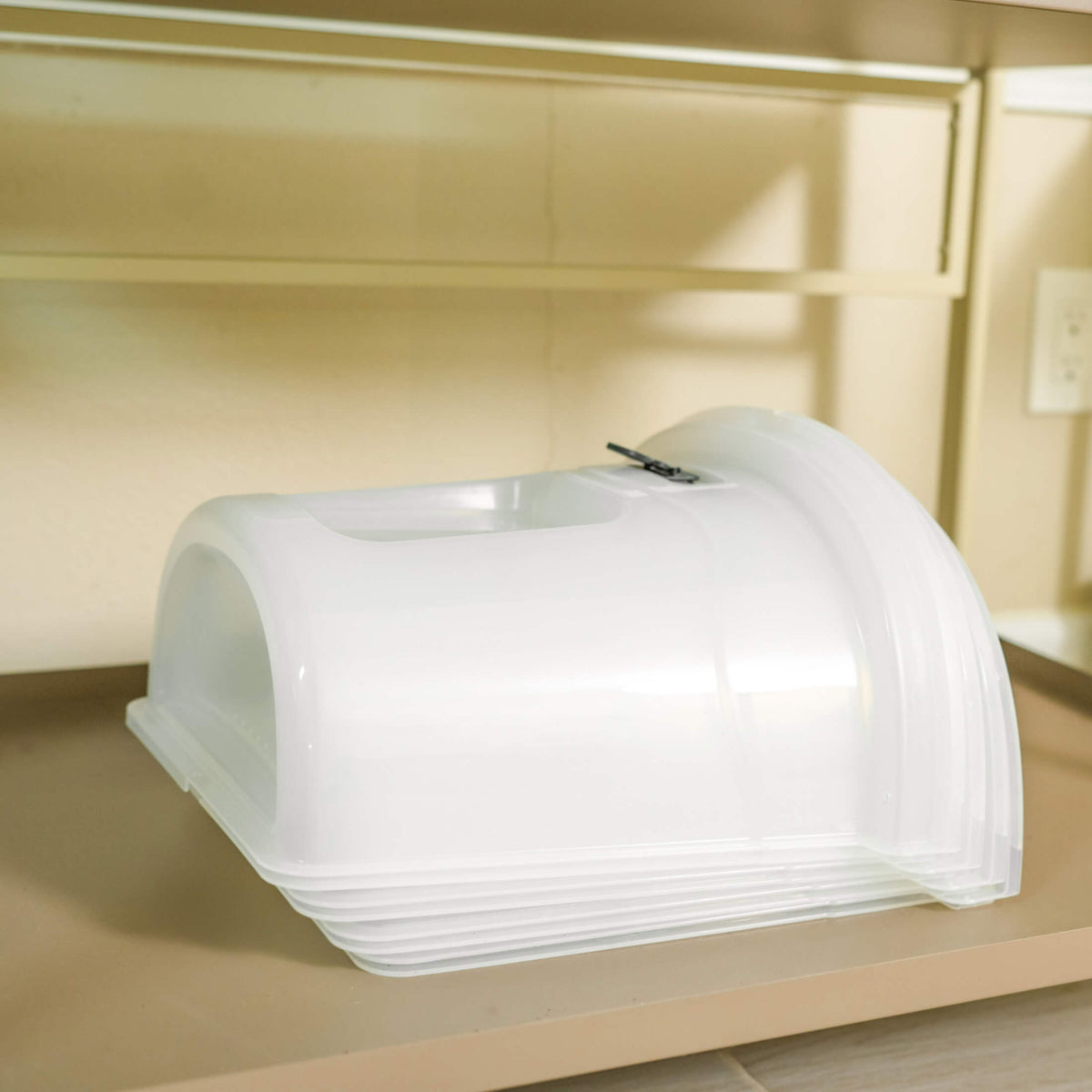Dome Cloche Kit