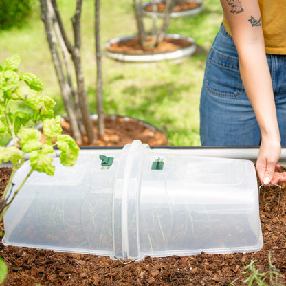 Dome Cloche Kit