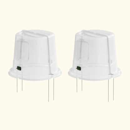 Dome Cloche Kit