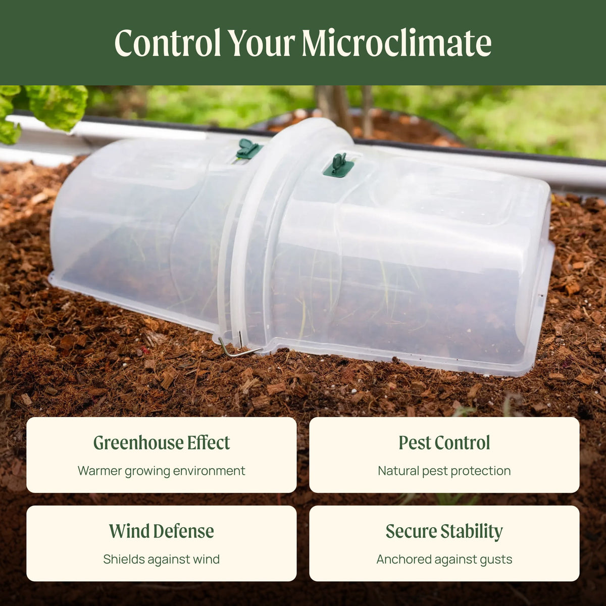 Dome Cloche Kit