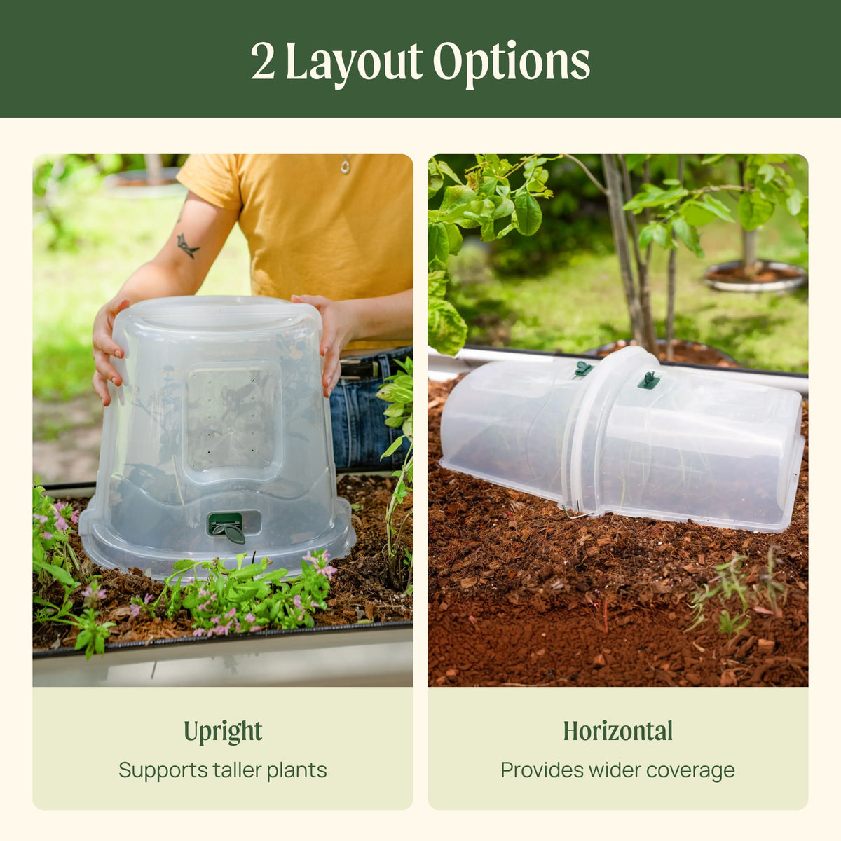 Dome Cloche Kit
