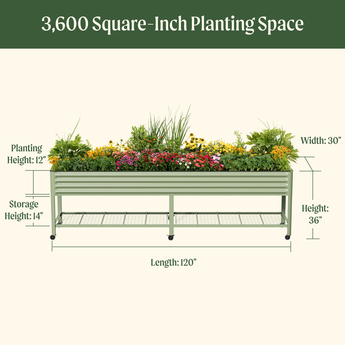 Four-Pack of Elevated Garden Beds, 2.5 x 10 Feet, with Wheels