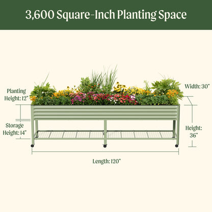 Four-Pack of Elevated Garden Beds, 2.5 x 10 Feet, with Wheels