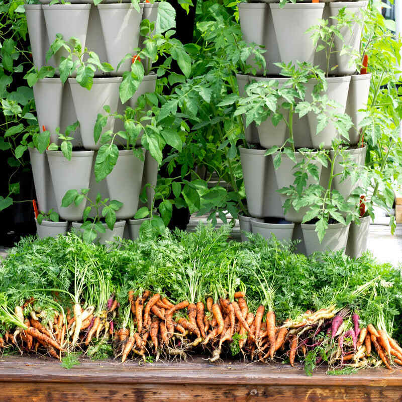 Product image of five tier vertical planter