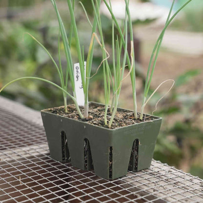Product photo of six cell seed starting trays