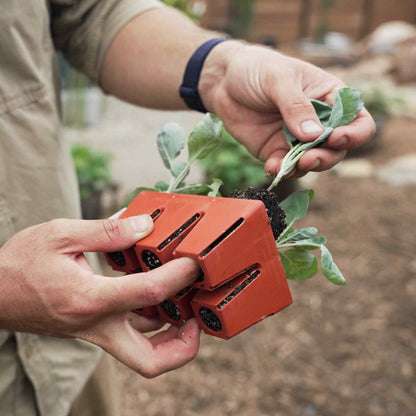 Product photo of six cell seed starting trays