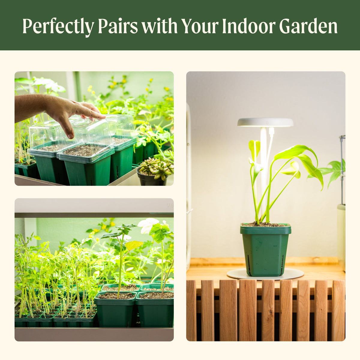 Seedling Pots, 5 x 5 Inches, 8 Pack