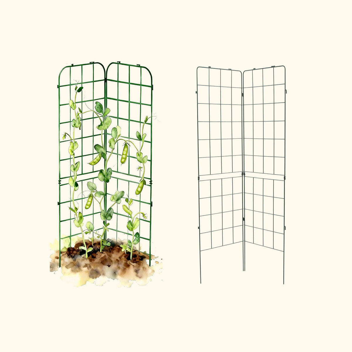 Adjustable A-Frame Trellis, 2 Pack
