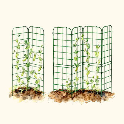 Adjustable A-Frame Trellis, 2 Pack
