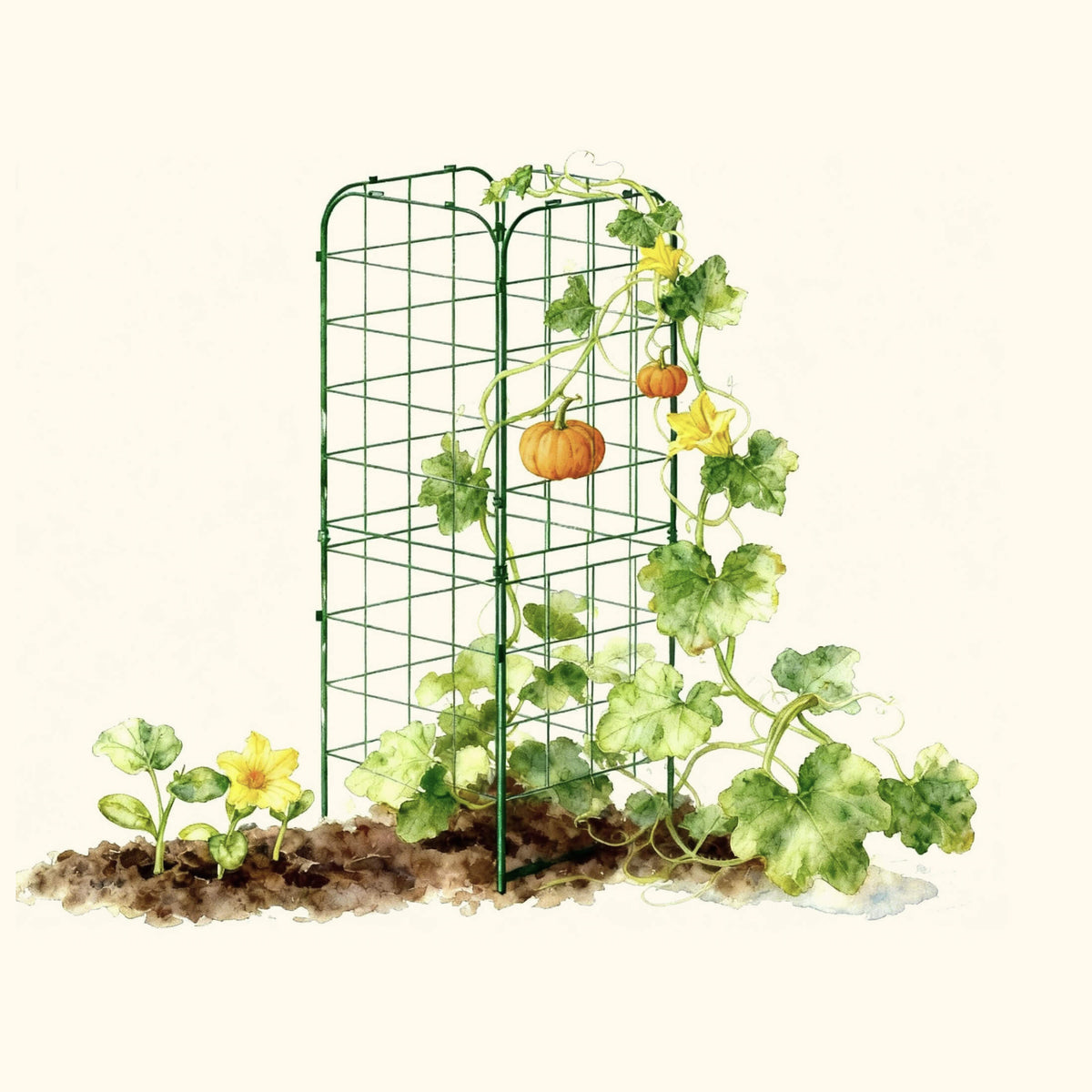 Adjustable A-Frame Trellis, 2 Pack