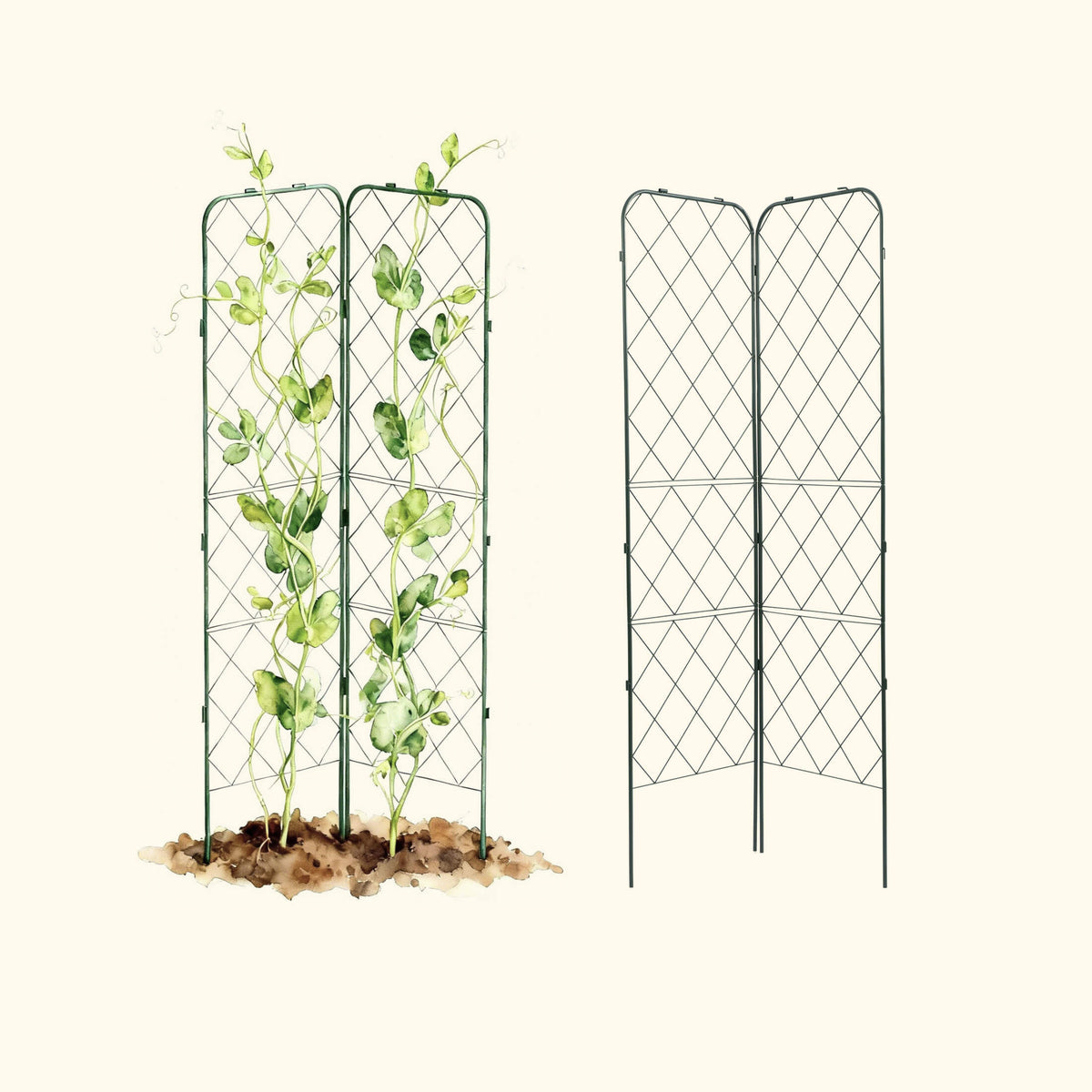 Standard Adjustable A-Frame Trellis