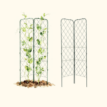 Standard Adjustable A-Frame Trellis